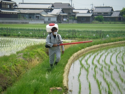 水稲中期除草剤散布
