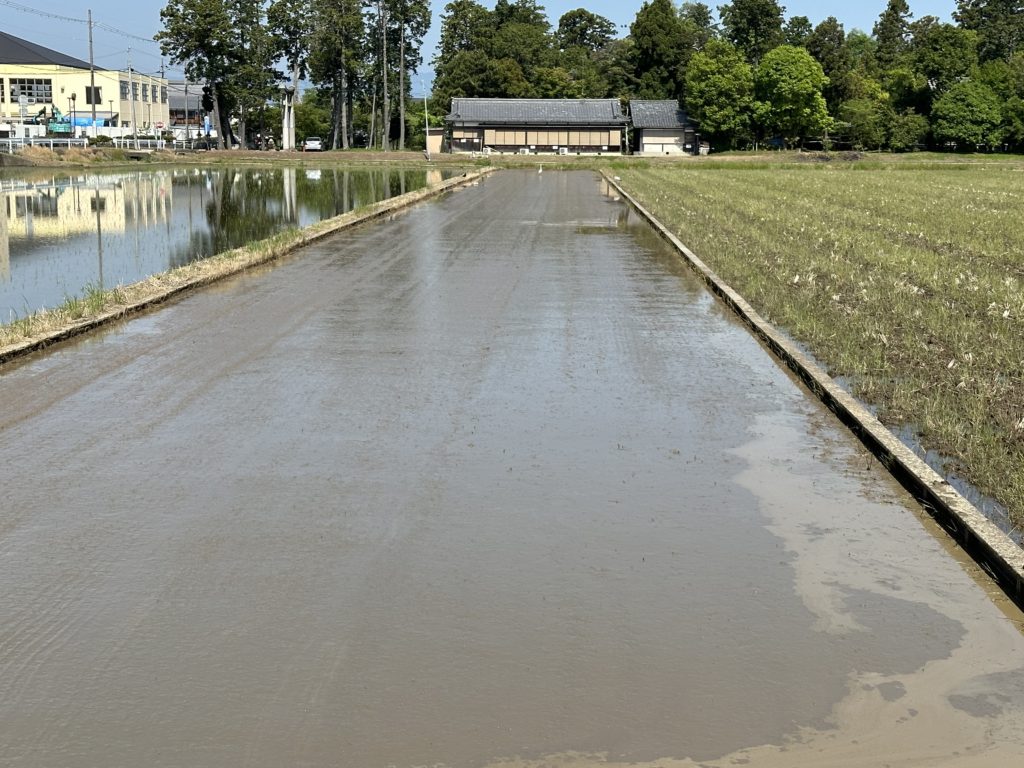 代掻き開始 | 株式会社グリーンちゅうず 滋賀県野洲市のお米を全国へ