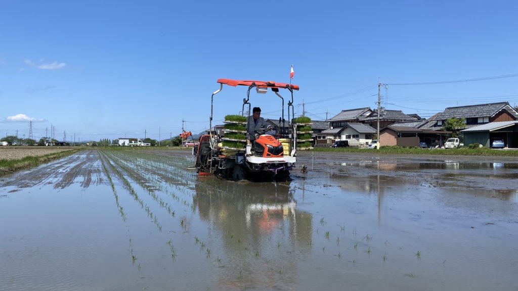 代かき、田植え終了 | 株式会社グリーンちゅうず 滋賀県野洲市のお米を全国へ