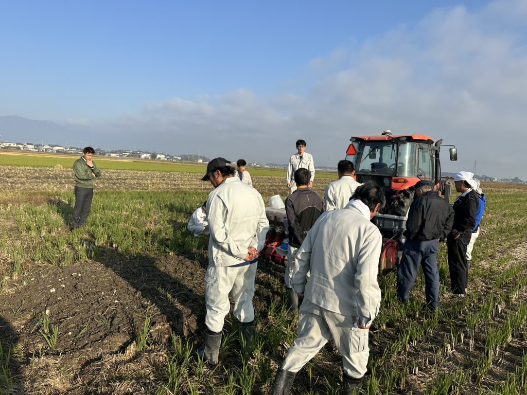 小麦播種 | 株式会社グリーンちゅうず 滋賀県野洲市のお米を全国へ
